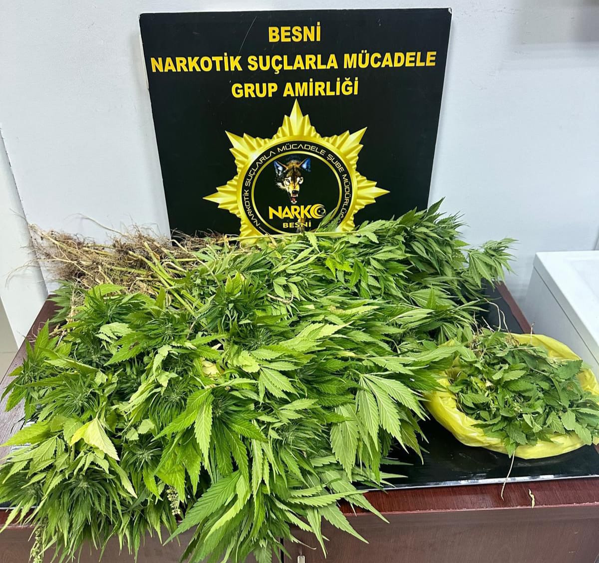 Evinin Önünü Kenevir Bahçesine Çevirdi