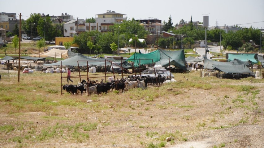 Belediye Bayram Hazırlıklarını Tamamladı