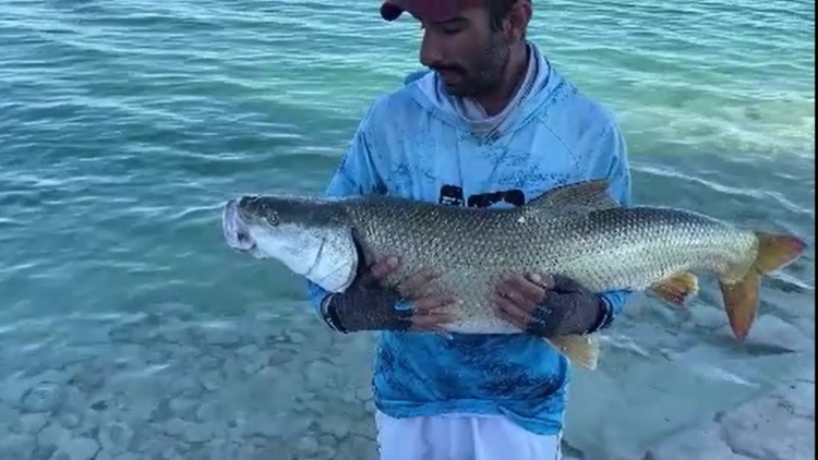 Adıyamanlı Balıkçı Fırat Turnasını Geri Saldı