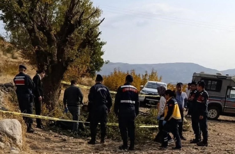 Budama Yaptığı Ağaçtan Düştü Hayatını Kaybeti