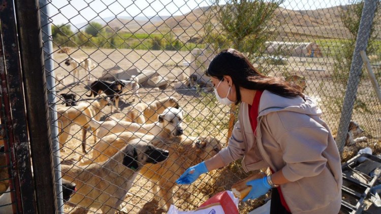 Adıyaman'da 7 Dönümlük Alanda Sağlık Hizmeti