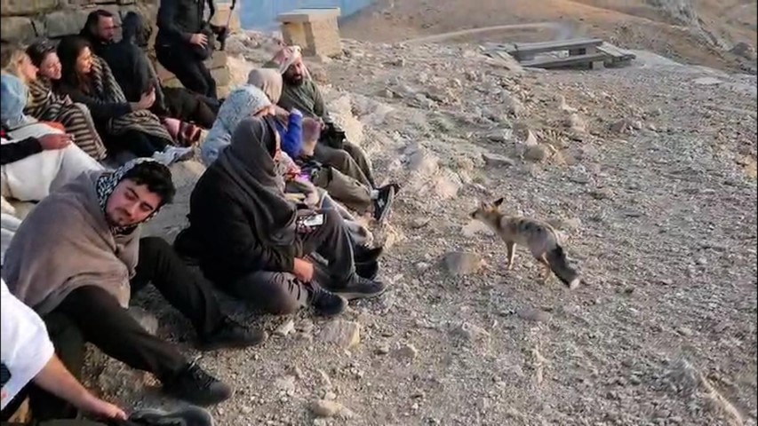 ‘Tilki Hakan, Güneşin Doğuşuna Renk Kattı 
