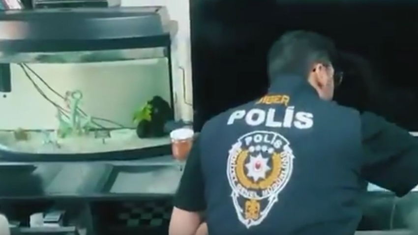 Gayrimenkul Satışı Yapan Örgüt Çökertildi