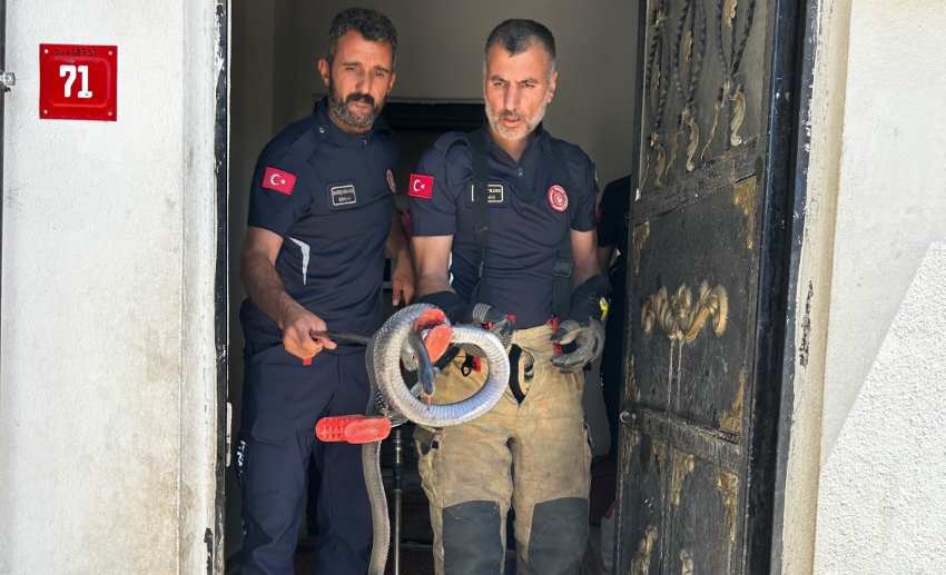 Lavabodan Çıkan Yılan Mahalleyi Ayağa Kaldırdı