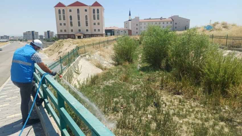 Adıyaman'da haşereye karşı yoğun mesai