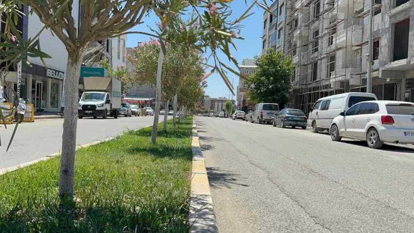 Adıyaman’da ağaçlar sıcaklara karşı korunuyor