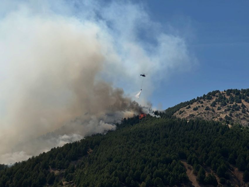 Sincik'te orman yangınına havadan ve karadan müdahale