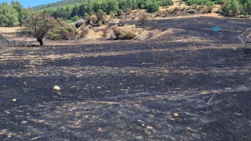 Ali Dağı Derneği'nden yangın çağrısı
