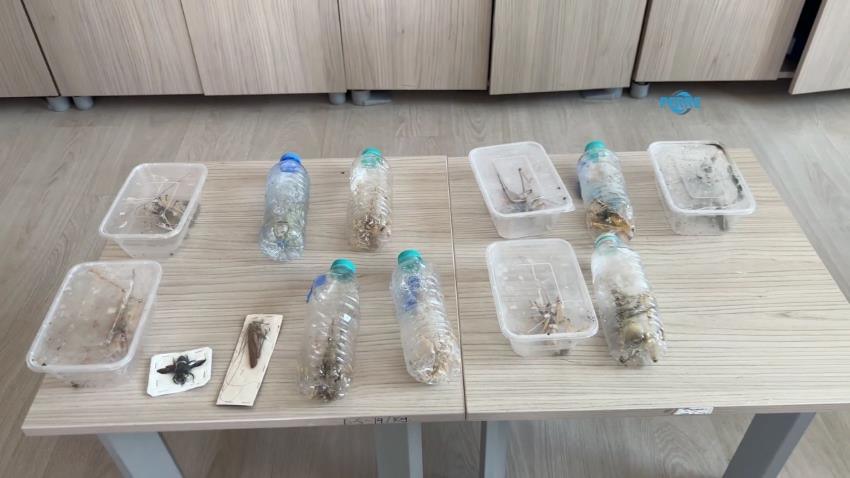 Nemrut’ta biyokaçakçılara 1,4 milyon TL ceza