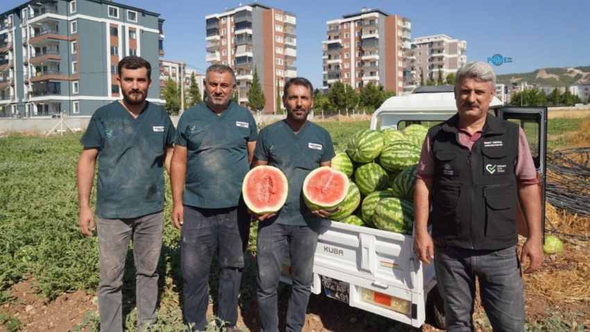Adıyaman’da belediye karpuzu 5 liradan satıyor
