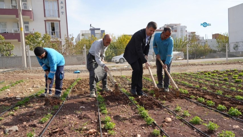Adıyaman Belediyesi 3 ayda yüz binlerce ürün üretti