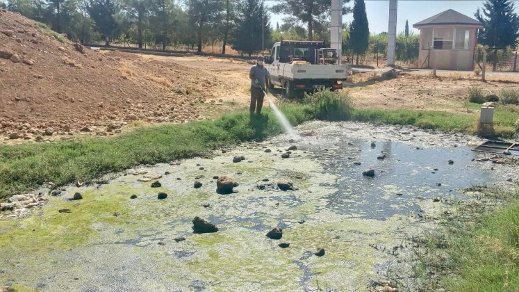 Belediyeden İlaçlamaya Devam
