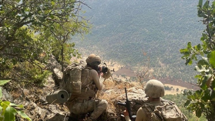 Jandarmadan Elazığ Bölgesinde Operasyon