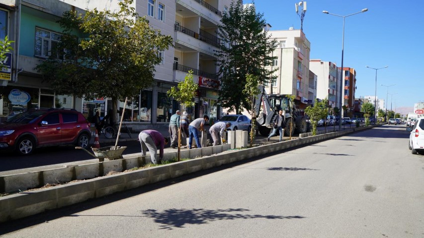 Karapınar Caddesi'nde Refüj Düzenleme