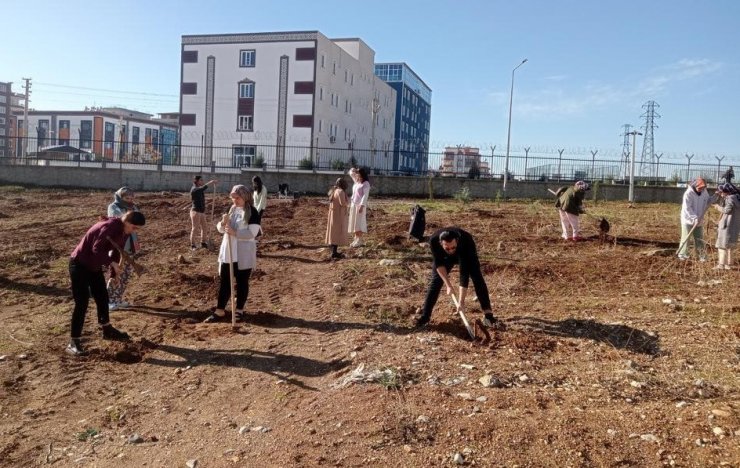 ADYÜ Öğrencileri Yurt Bahçesine Fidan Dikti
