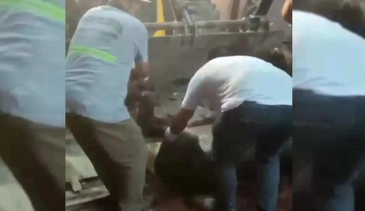 At ve Eşek Kesimi Yapanlara Baskın 