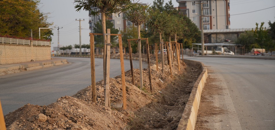 Adıyaman’da Refüjlere Yeşil Örtü