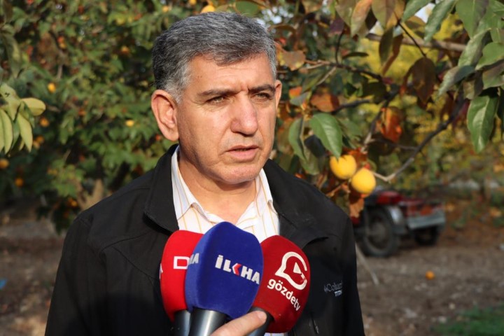 10 Bin Ton Hurma Rekoltesi Bekleniyor 