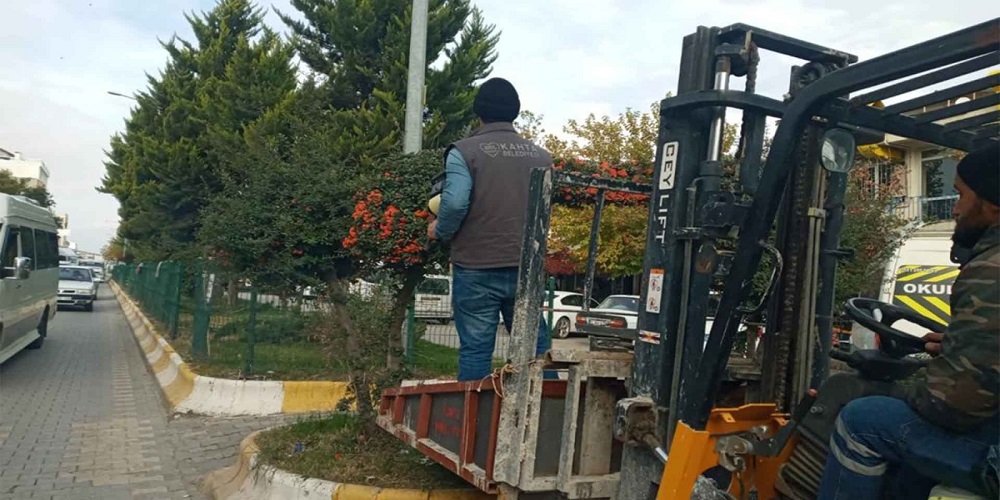 Kahta Belediyesi'nden Budama Çalışmaları