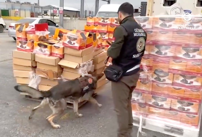 Ambarlı Limanı'nda Uyuşturucu Ele Geçirildi