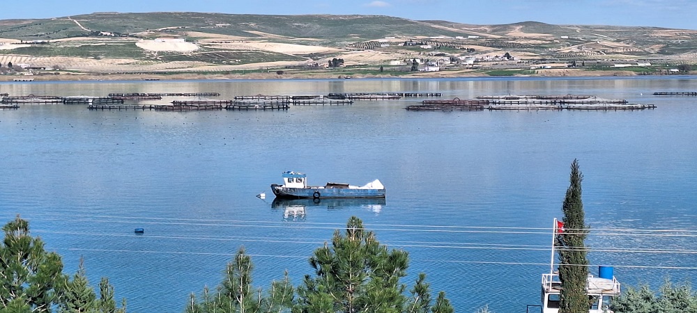 Şanlıurfa’dan Dünyaya Türk Somonu İhracatı