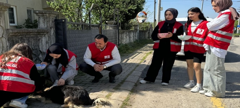Sokak Hayvanları Unutulmadı