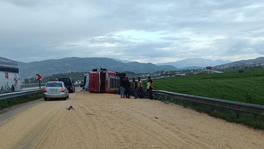 Mısır Yüklü TIR Devrildi, Sürücüsü Yaralandı