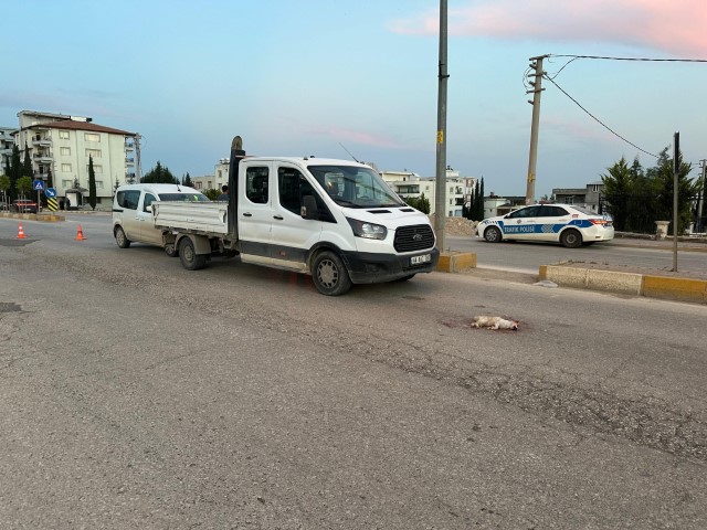 Kediyi Ezmemek İsterken Kazaya Neden Oldu