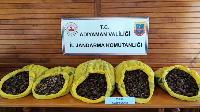 Salep Soğanı Toplayan Şüpheli Gözaltında